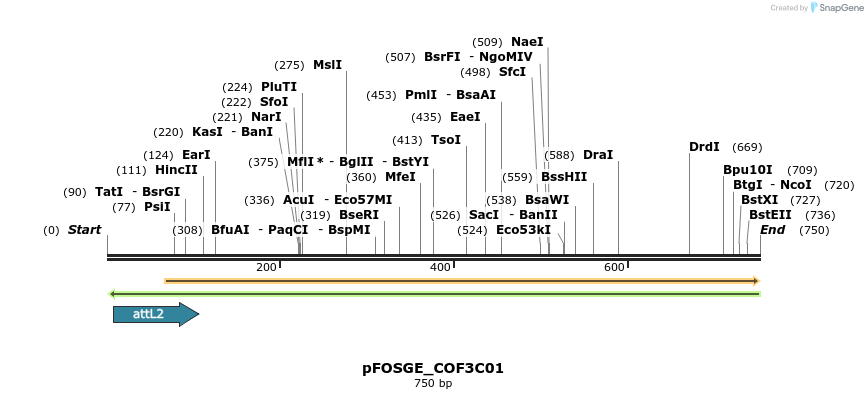 130376_map