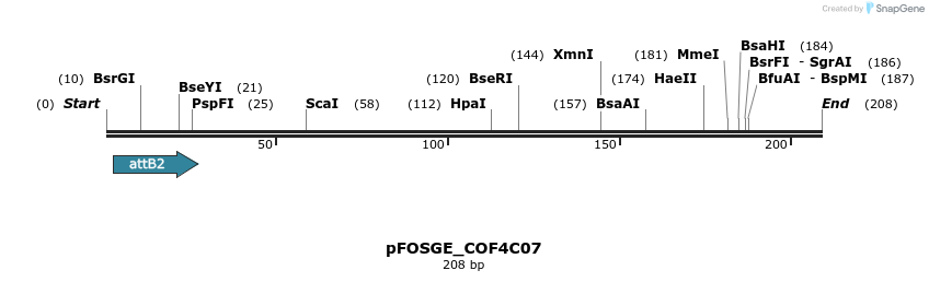 130377_map
