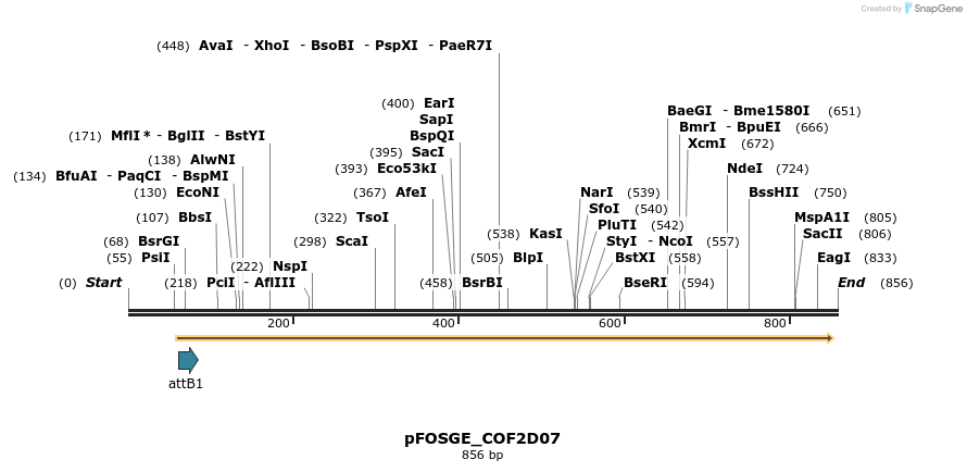 130386_map