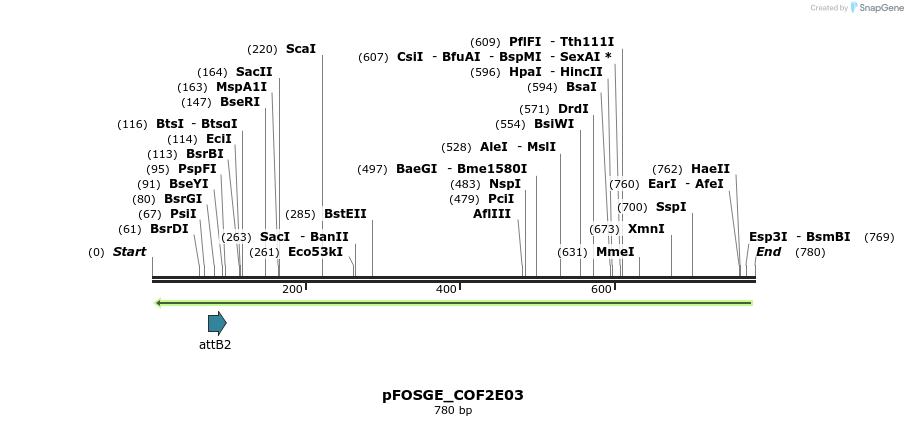 130390_map