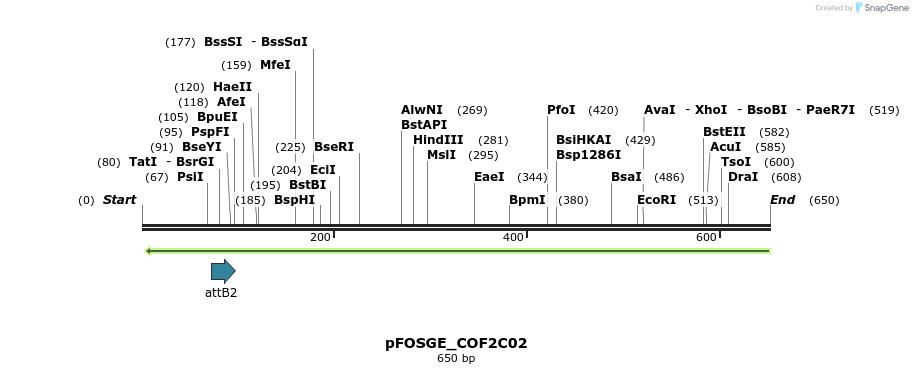 130391_map
