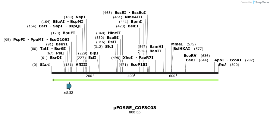 130393_map