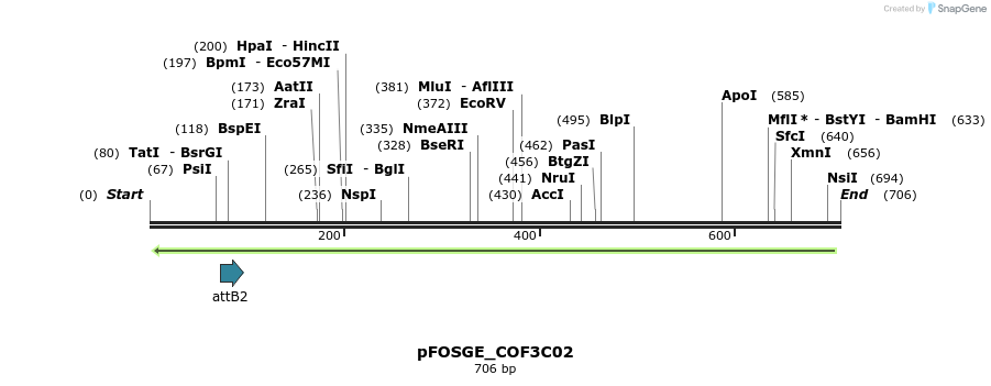 130394_map
