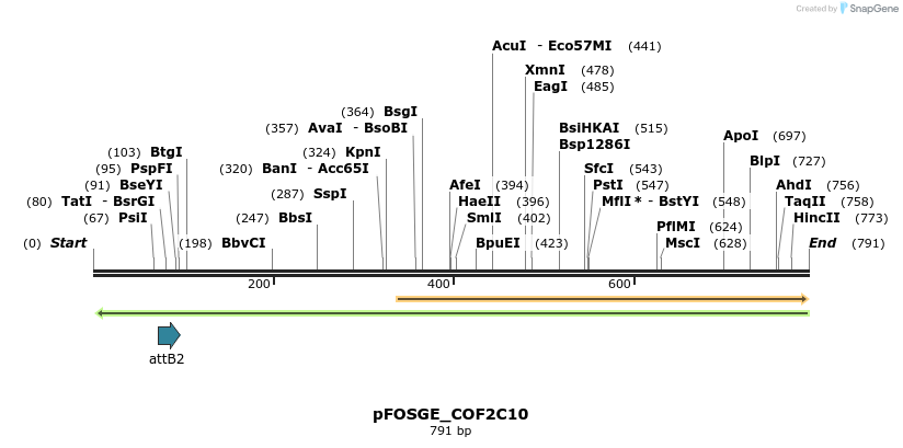 130397_map