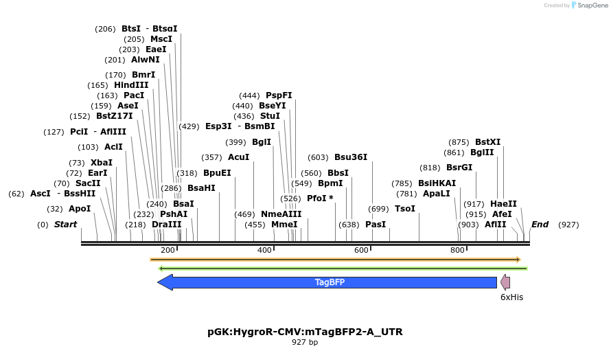 130406_map