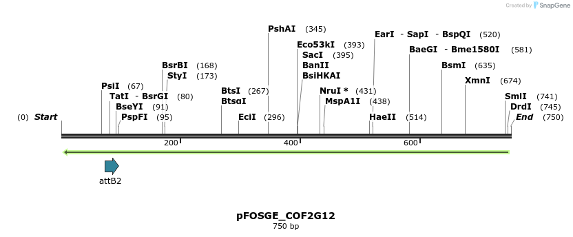 130411_map
