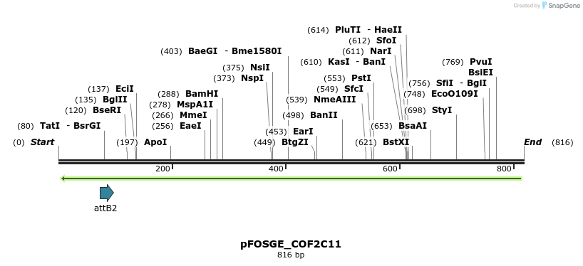130412_map