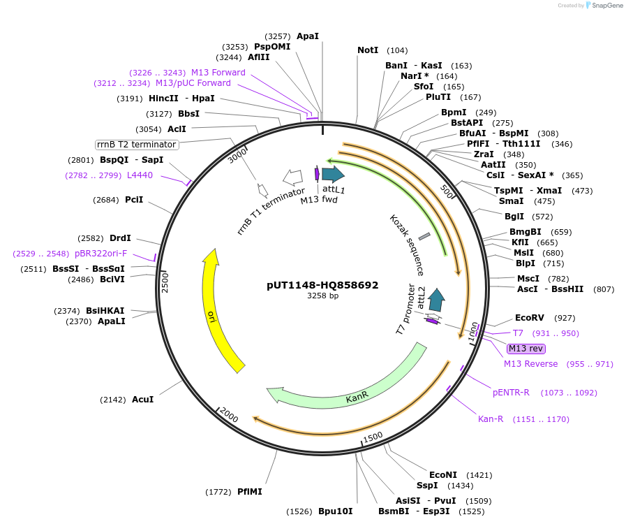 13042_map