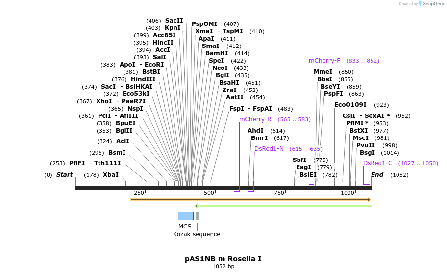 130422_map