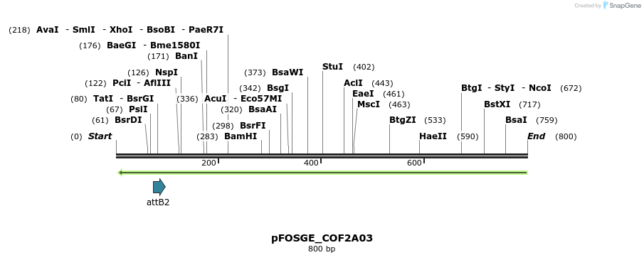 130423_map
