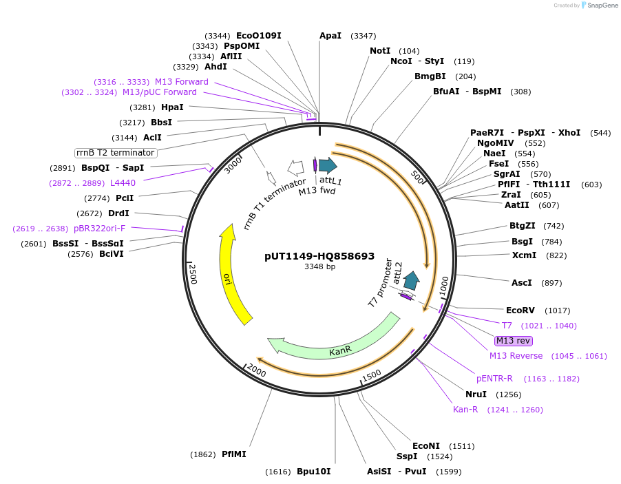 13043_map
