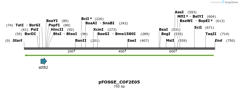 130437_map