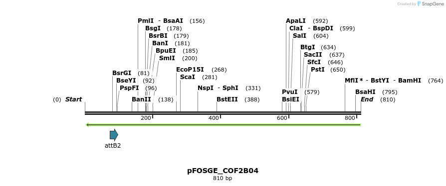130438_map