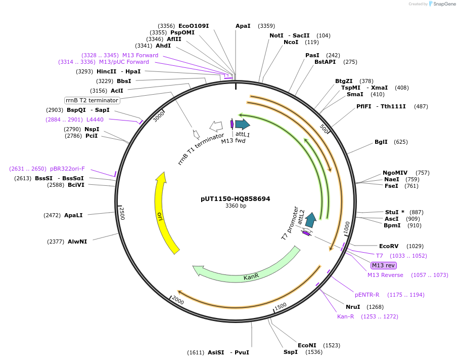 13044_map