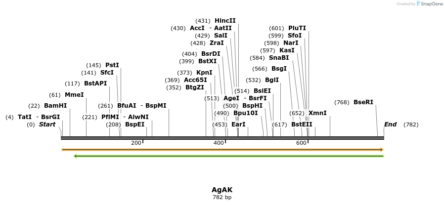 130441_map