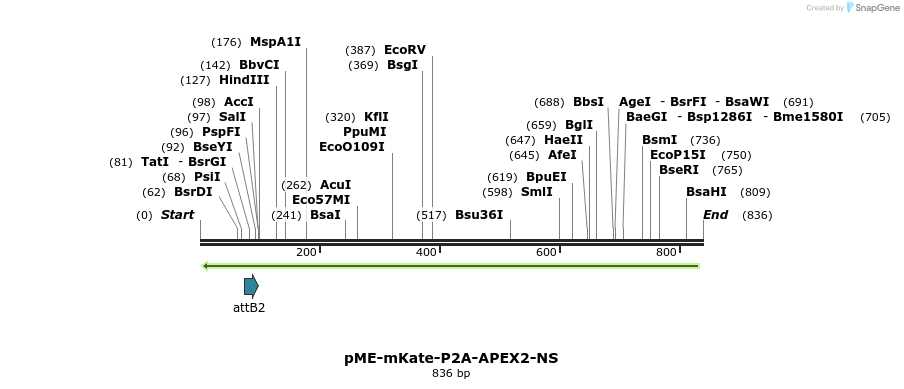 130444_map