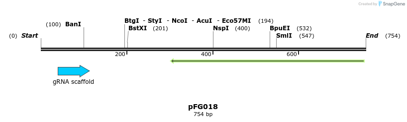 130450_map