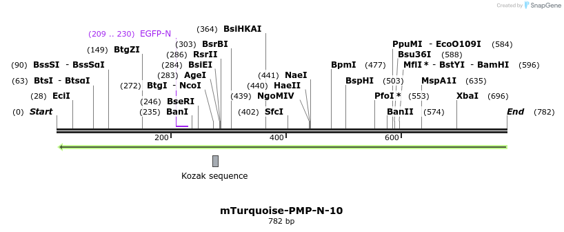 130455_map