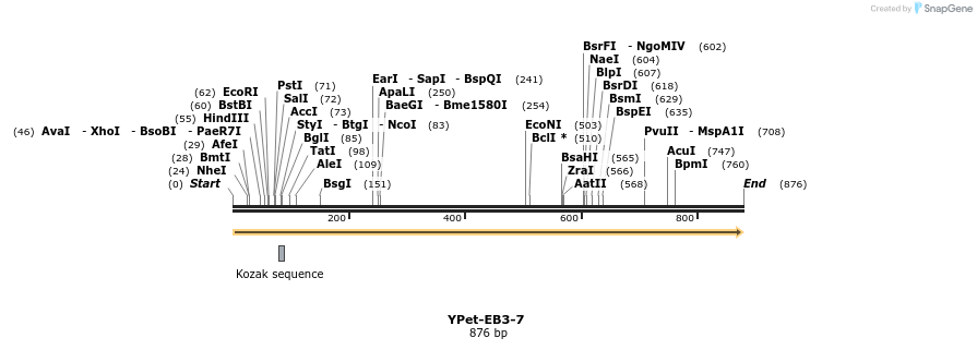 130456_map