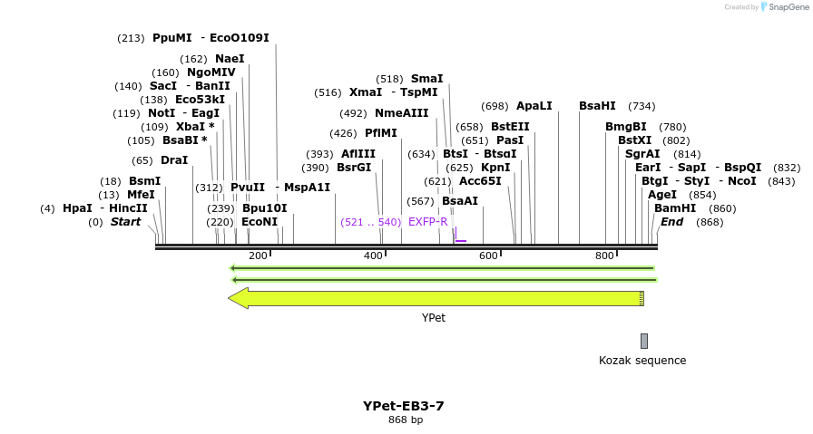 130457_map