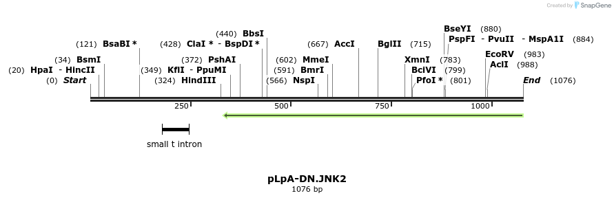 130462_map