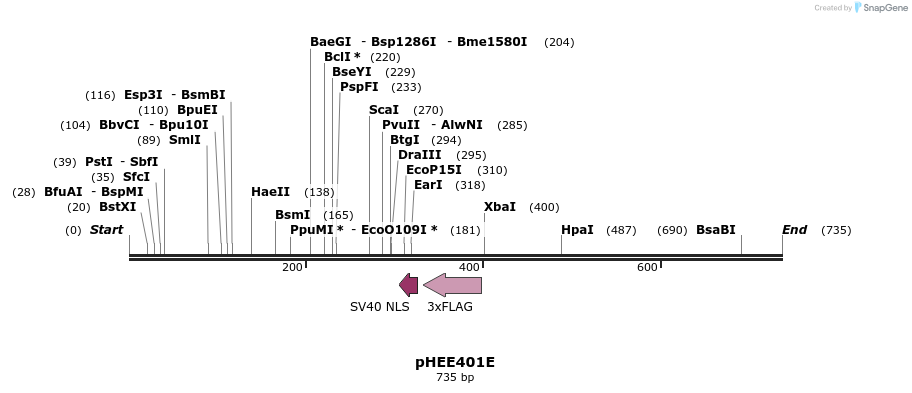 130464_map