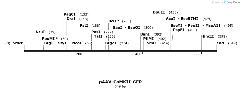 130466_map