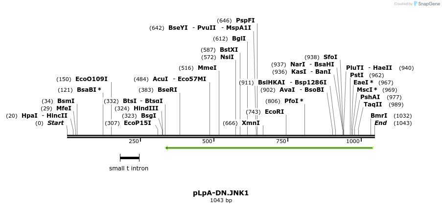 130472_map