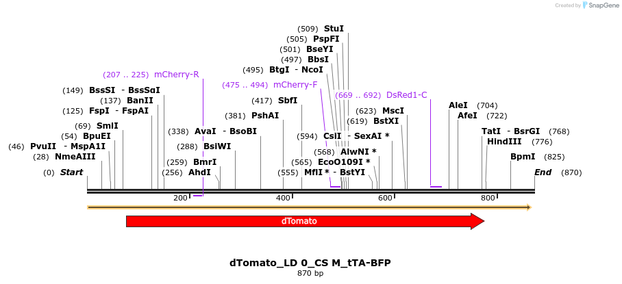 130475_map