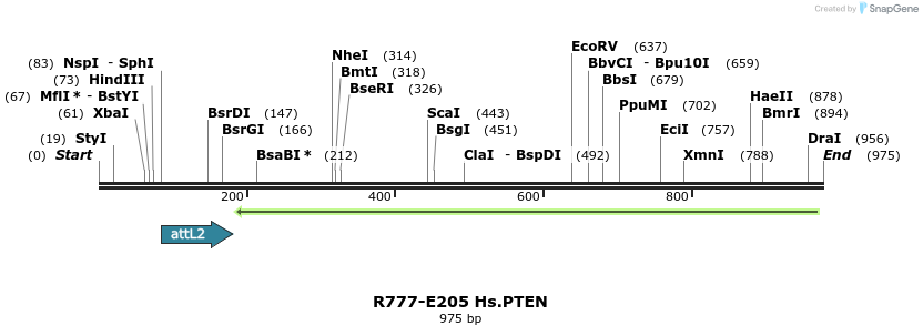 130477_map