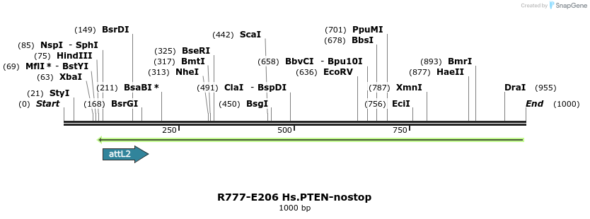 130478_map