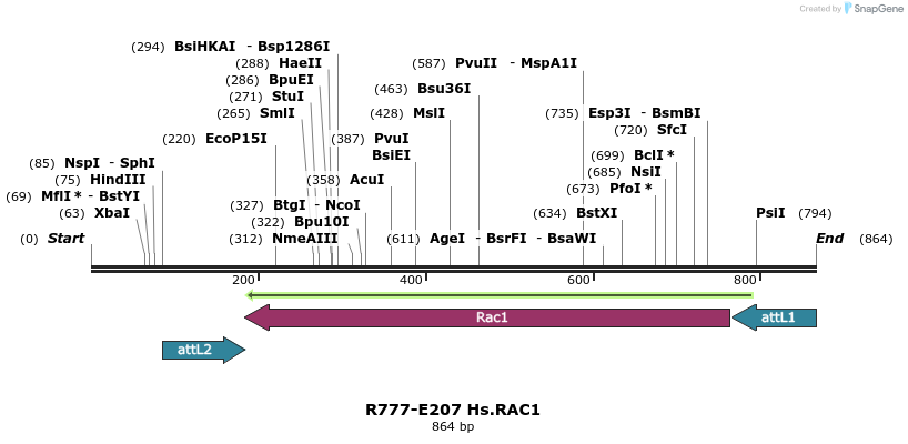 130479_map