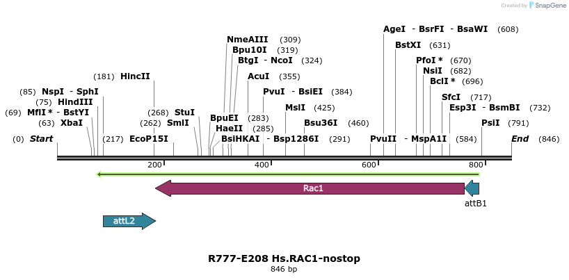 130480_map