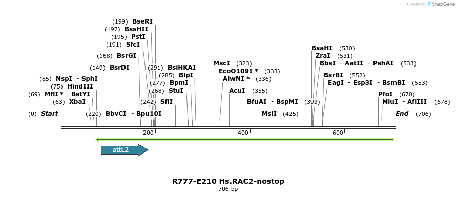 130483_map