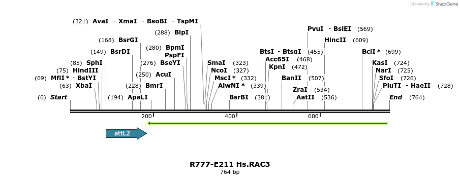 130484_map