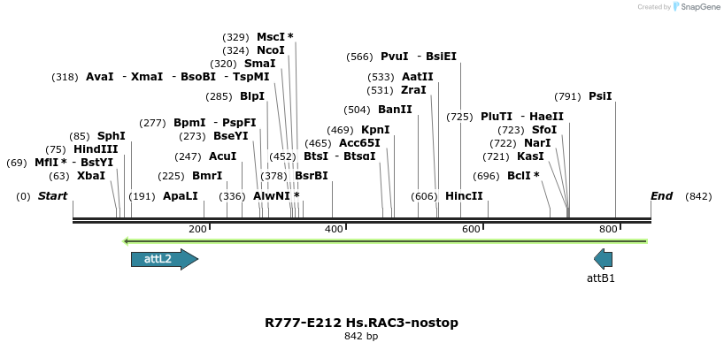 130485_map