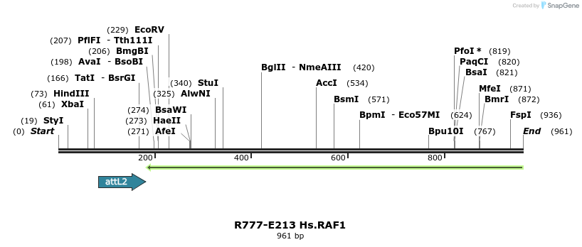 130486_map