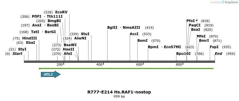 130487_map