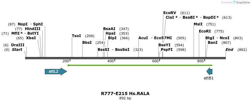 130488_map