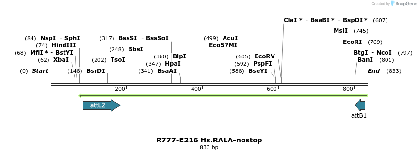 130489_map