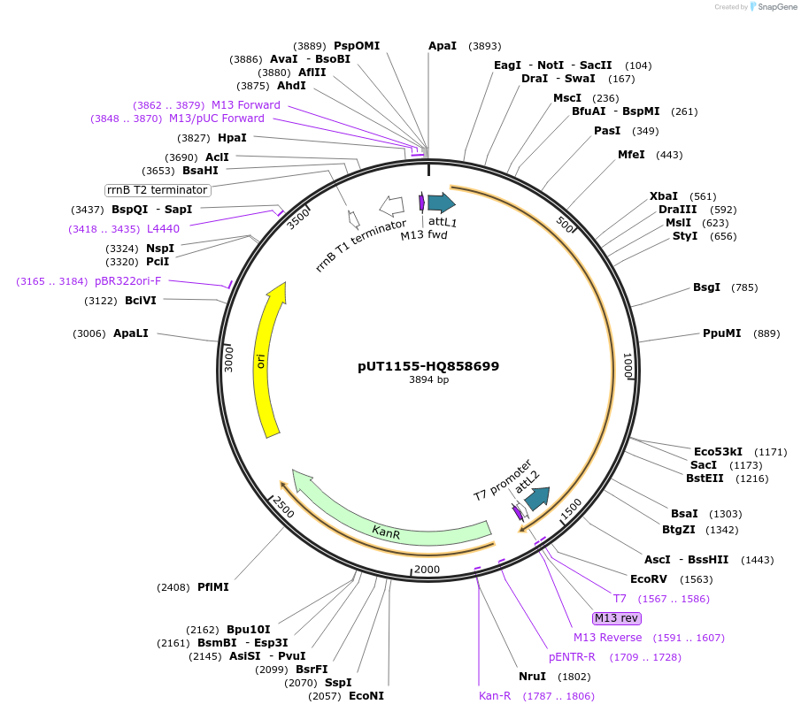 13049_map
