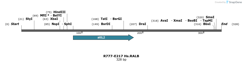130490_map