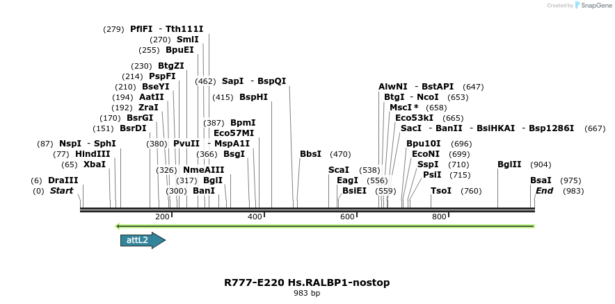 130493_map