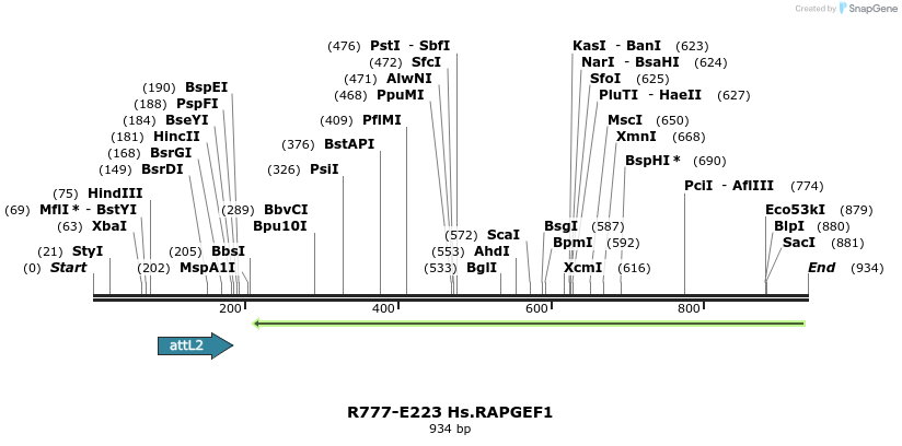 130498_map