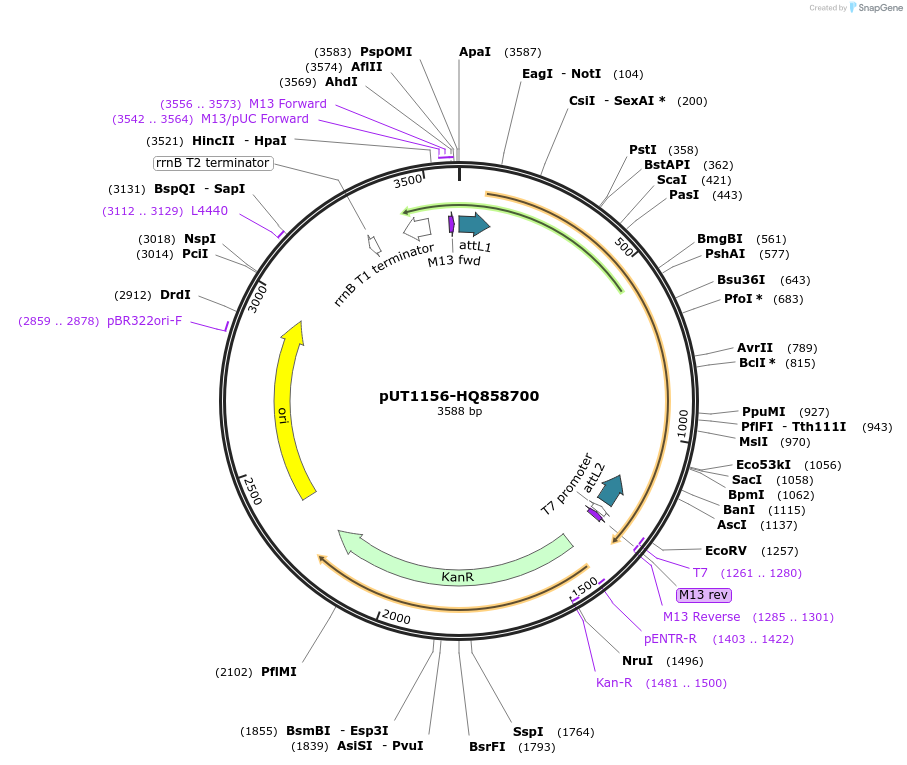 13050_map