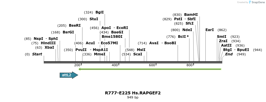 130504_map