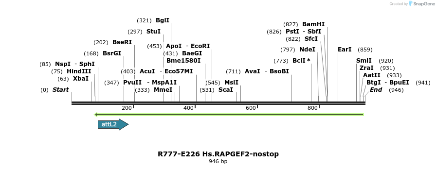 130505_map