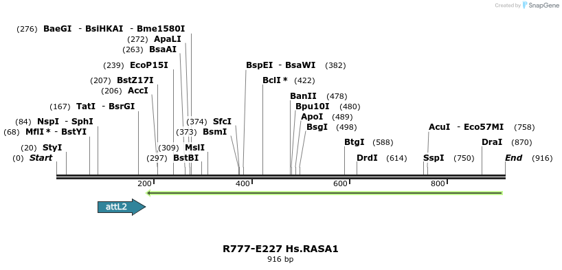 130506_map
