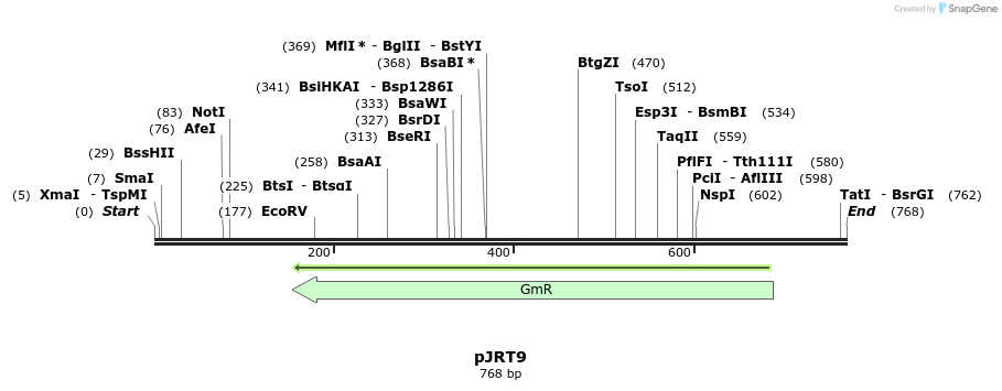 130512_map