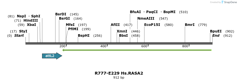 130513_map
